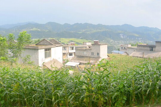 聯(lián)合苗族鄉(xiāng)玉米地及村莊民居