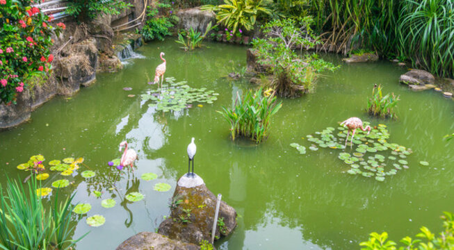 白蓮洞公園縮微風(fēng)景