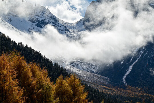 川西畢棚溝雪山秋景