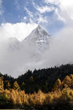 川西畢棚溝雪后秋景