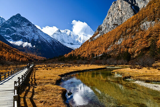 稻城亞丁央邁勇神山秋景