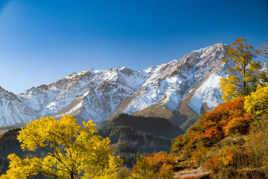 金秋的張掖馬蹄寺祁連山