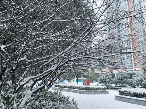 雪景