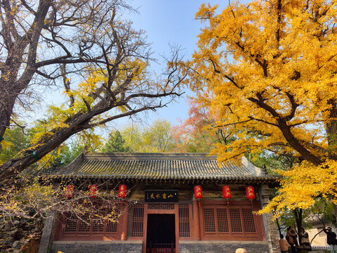 銀杏樹(shù)下的晉祠王瓊祠