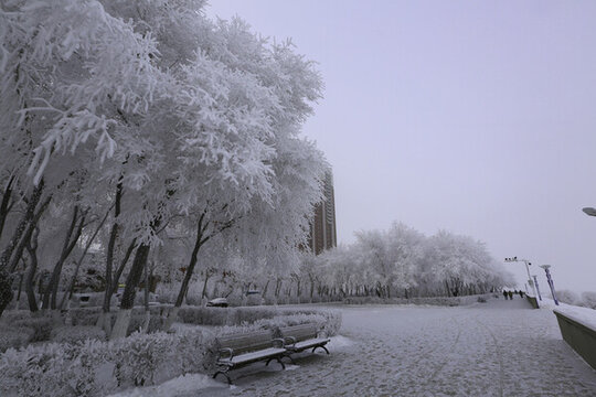 霧凇寒流大霧美麗雪景
