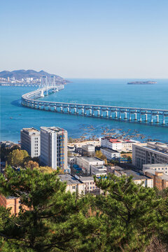 大連西尖山頂遠眺星海灣和跨海大橋