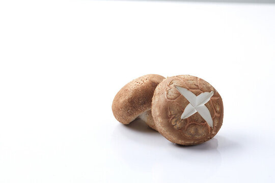 蘑菇