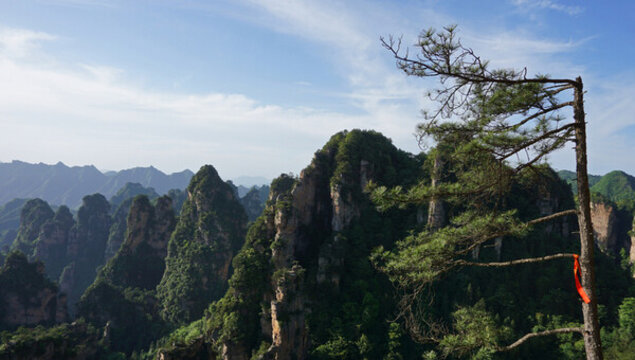 張家界風(fēng)景
