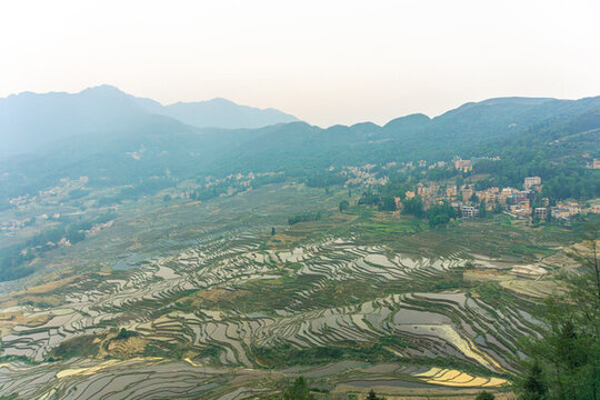 層層疊疊的元陽梯田景觀