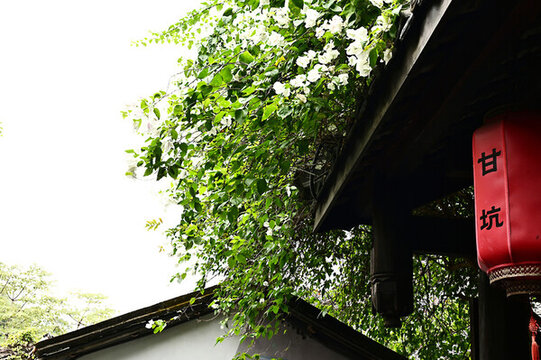 深圳甘坑古鎮(zhèn)古房屋上的屋檐瓦當(dāng)