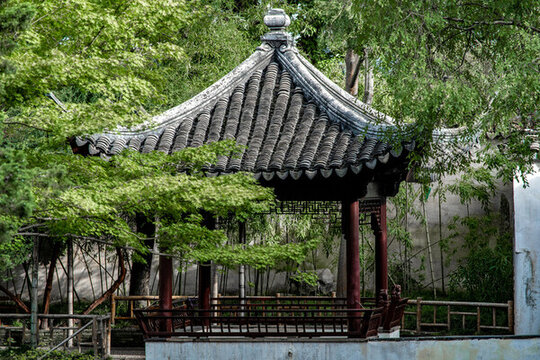 拙政園