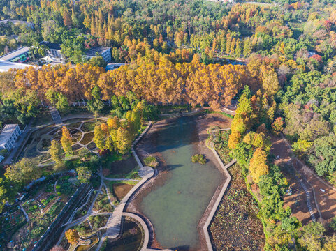 航拍湖北武漢植物園