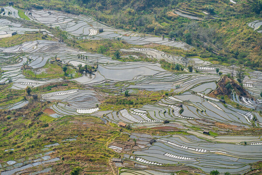 紅河州元陽(yáng)梯田自然風(fēng)光