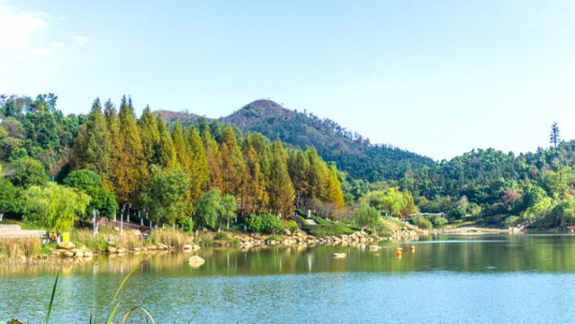 尖山湖公園金秋