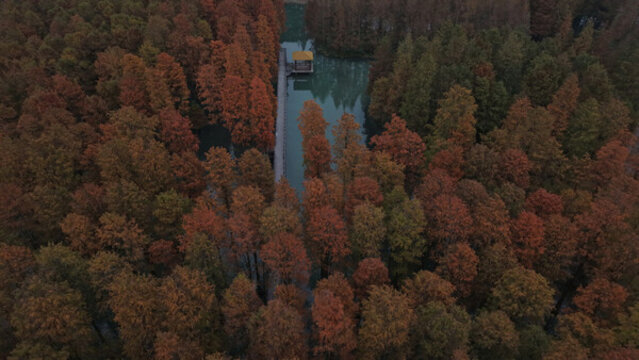 上海青西郊野公園