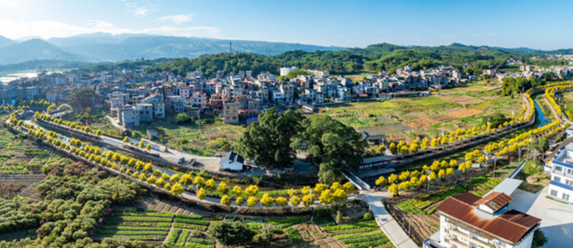 廣西蒙山打造生態(tài)宜居和美新農(nóng)村