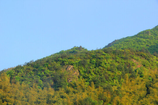 鸕鳥山山峰