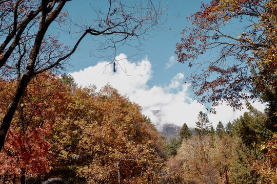九寨溝秋景