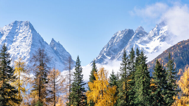 四川四姑娘山雙橋溝景區(qū)秋天的雪山美景