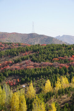 北京順義舞彩淺山紅葉