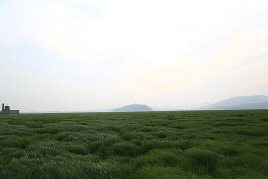 鄱陽湖風(fēng)光