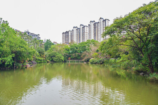 曼聽公園放生湖樹林高層住宅