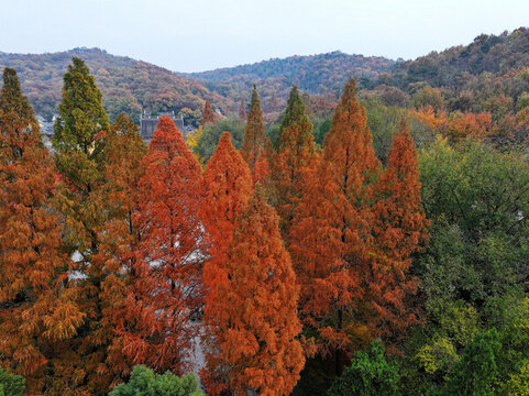 棲霞山風(fēng)光