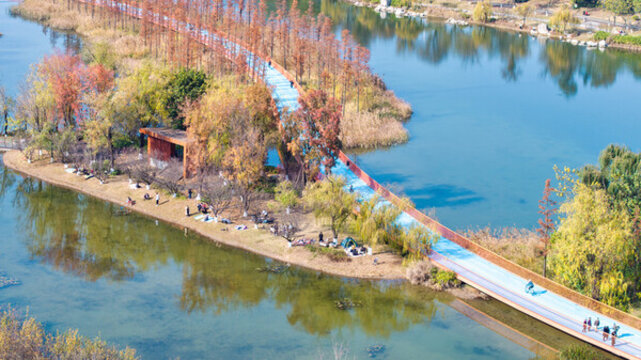 秋季晴天成都高新區(qū)錦城公園的天府綠道