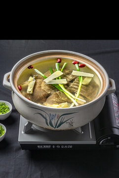 泉水甲魚