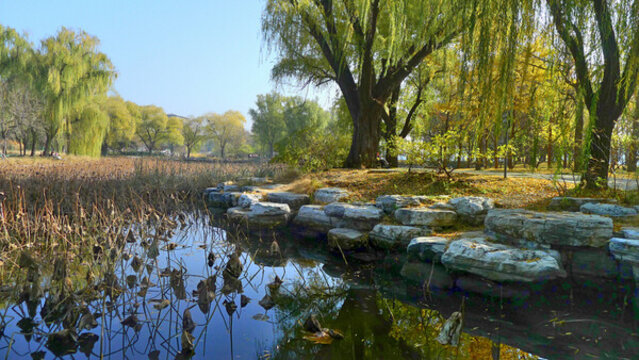北京玉淵潭秋景秋色