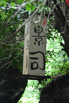 雁蕩山