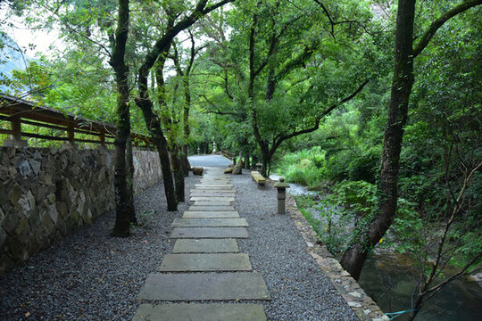 雁蕩山