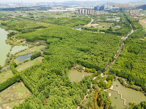 航拍昆明滇池?fù)启~河濕地公園景觀