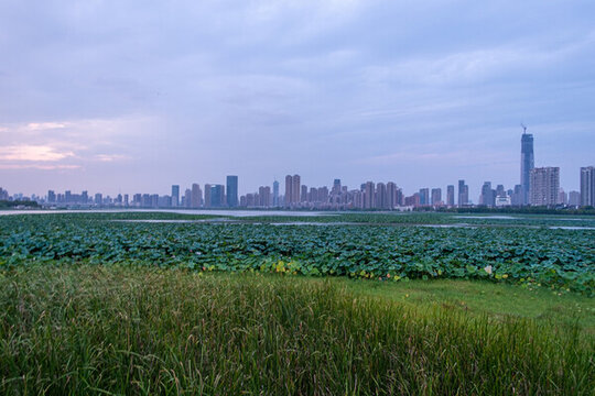 沙湖夕陽
