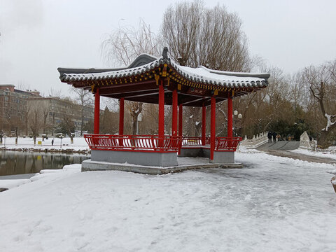 公園雪景