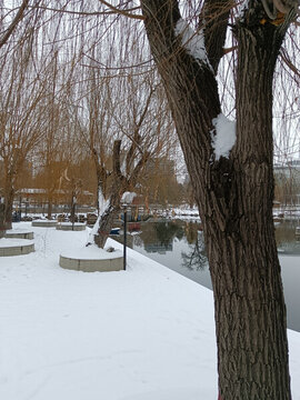 公園雪景