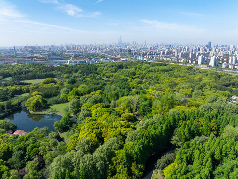 航拍上海城市公園共青森林公園