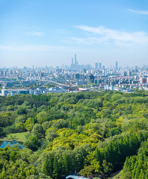 航拍上海城市公園共青森林公園