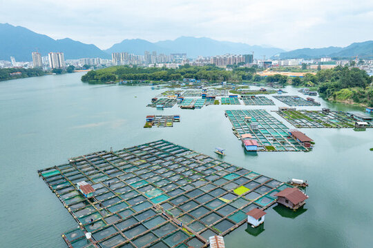 江河網(wǎng)箱養(yǎng)魚基地