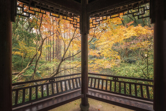 浙江杭州虎跑公園秋景