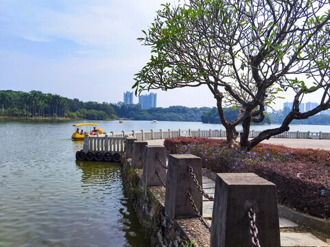 大夫山森林公園