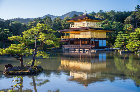 日本京都金閣寺金色舍利殿近景特寫