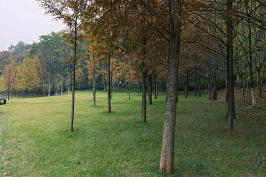 城市公園