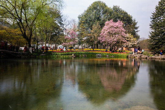 杭州太子灣公園春色