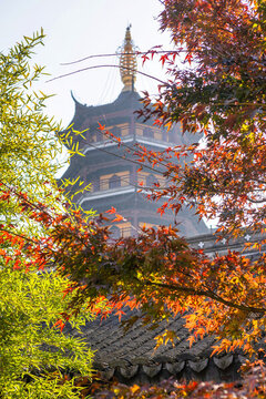 江蘇省泰州南山律寺的秋天風(fēng)光