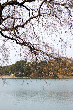 湖光山色