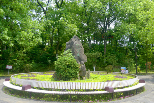 勉縣武侯墓園林高山仰止假山石