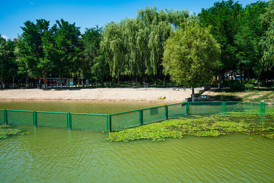城市濕地公園