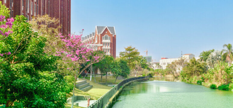 佛山市美倫國際學(xué)校美倫國際高中