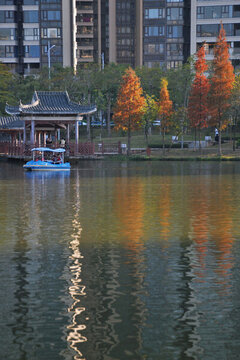 金山湖公園風(fēng)光